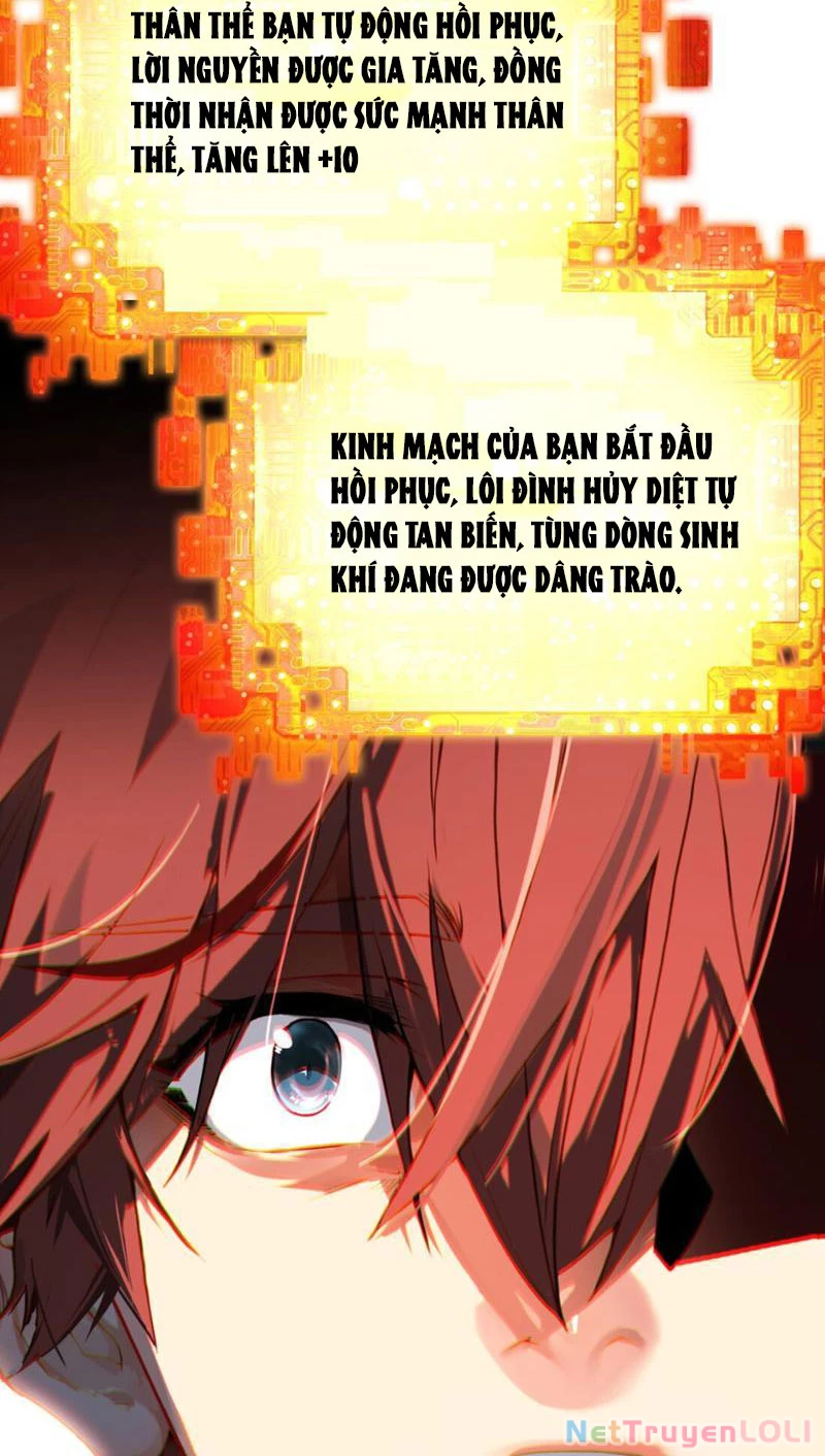 Dựa Vào Quyền Rủa Tu Tiên Ta Cảm Thấy Có Chút Không Thích Hợp Chapter 2 - 68