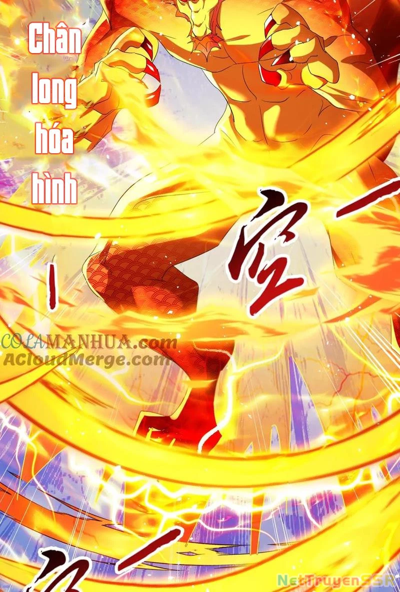 Vô Địch Đốn Ngộ Chapter 252 - 29