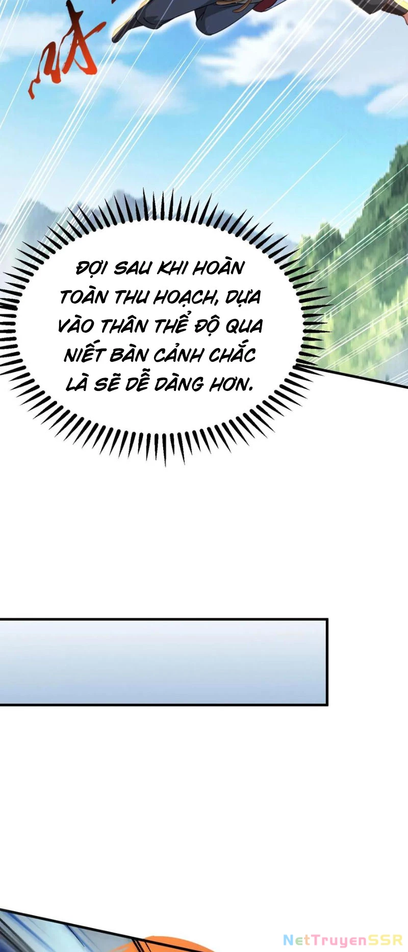 Vô Địch Đốn Ngộ Chapter 257 - 14