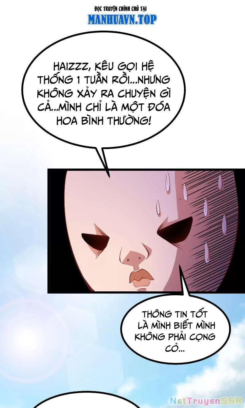 Thôn phệ đi, đại chùy hoa Chapter 1 - 41