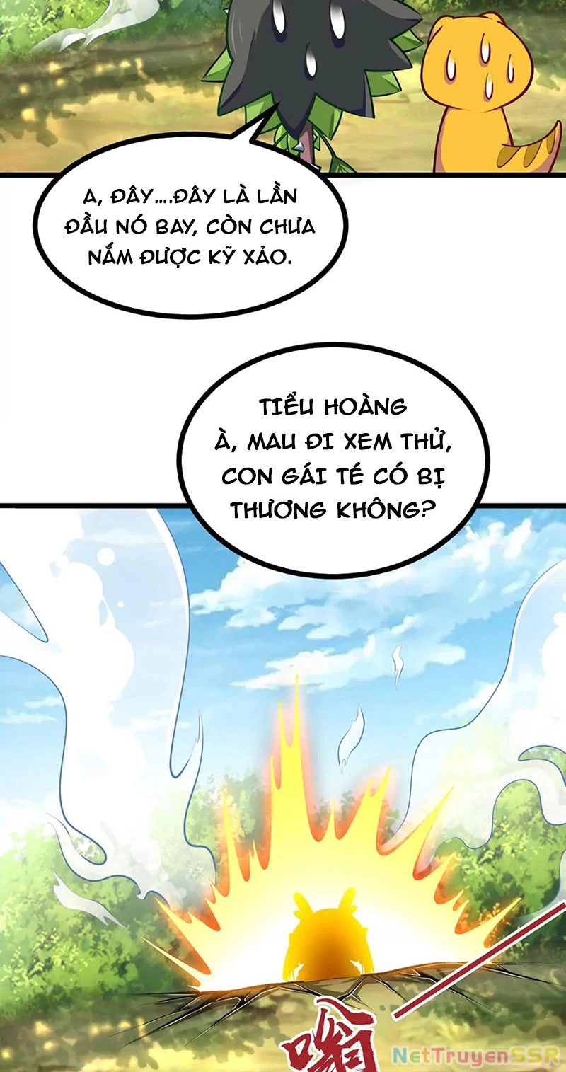 Thôn phệ đi, đại chùy hoa Chapter 12 - 16