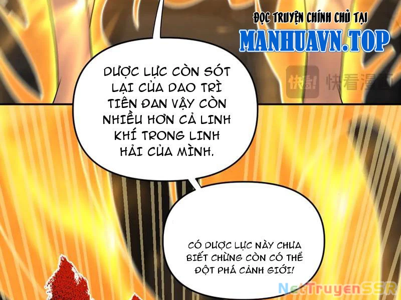 Bắt Đầu Chấn Kinh Nữ Đế Lão Bà, Ta Vô Địch! Chapter 21 - 65