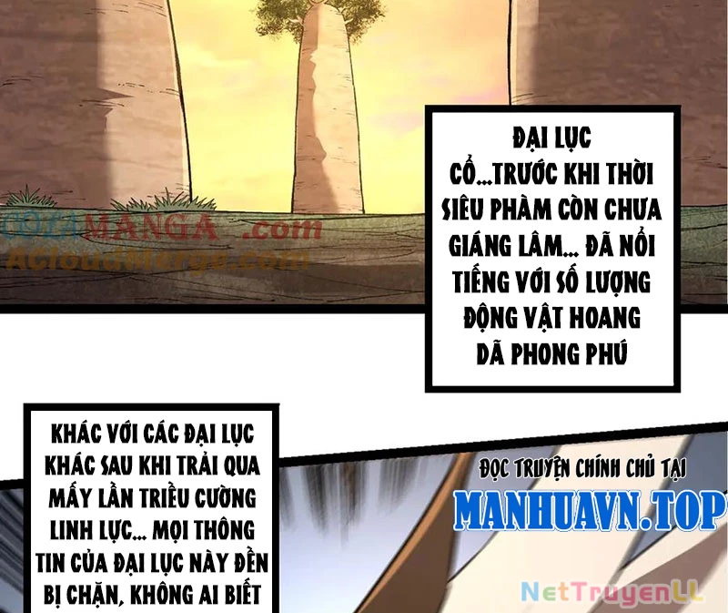 Chuyển Sinh Thành Liễu Đột Biến Chapter 245 - 42