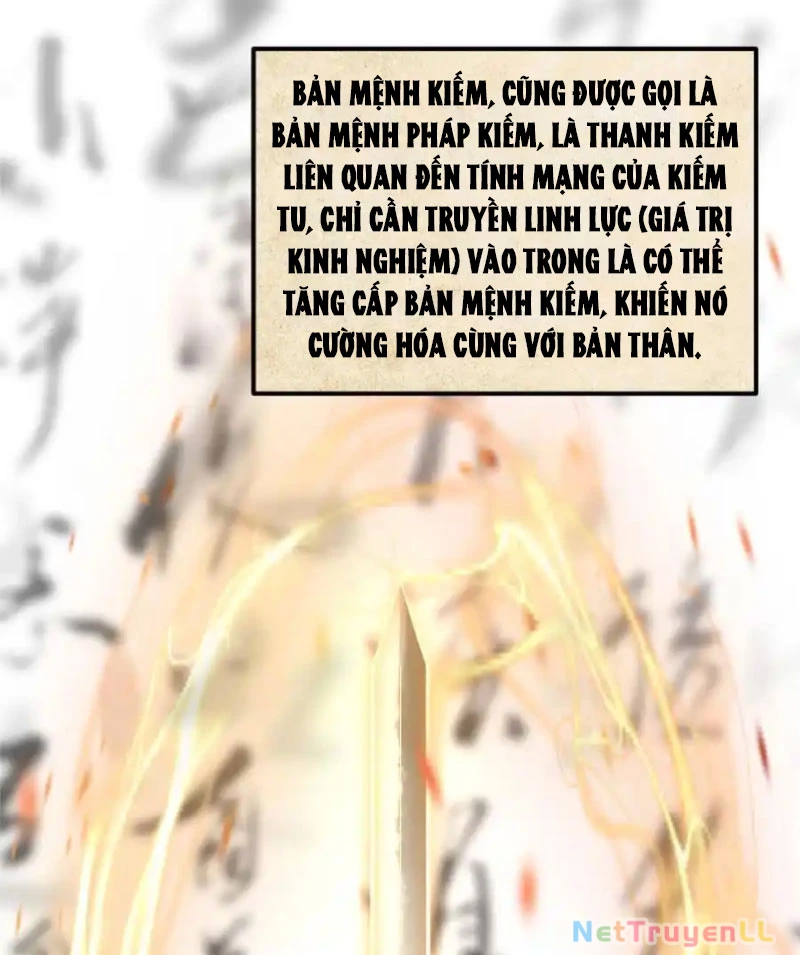 Chưởng Môn Khiêm Tốn Chút Chapter 392 - 3