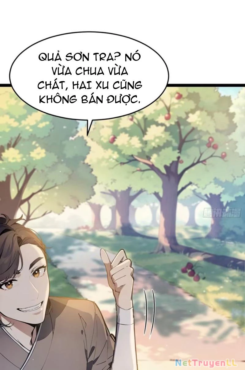 Ta thật sự không muốn làm thánh tiên Chapter 4 - 4